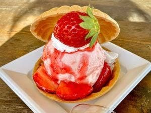 いい里 さかがわ館 そばレストラン
