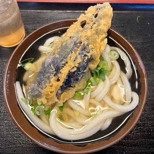 手打十段 うどんバカ一代