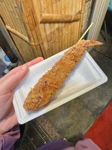 魚力