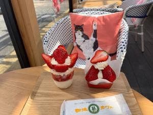 8代葵フルーツパーラー