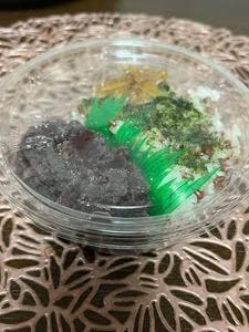 天まめ