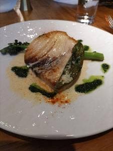 trattoria salute