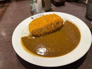 カレーハウスCoCo壱番屋 前橋荒牧店