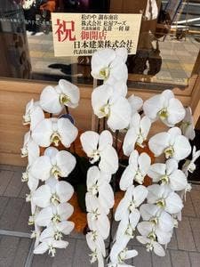 松のや 調布南店