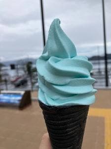 道の駅 十和田湖
