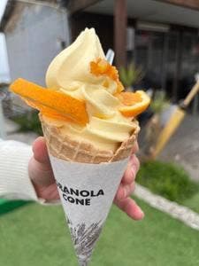果のん