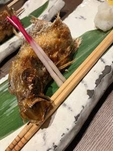 二代目 圭