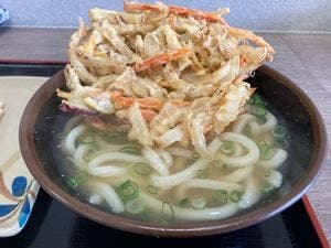 さか枝うどん 多肥店