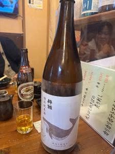 和泉水産 まぐろ酒場