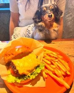 コナズ珈琲 板橋店