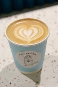 Willbe Lab. & Cafe