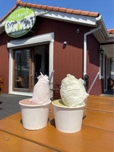 アイス工房メーリア