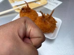 小判鮫