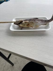 かずら橋夢舞台
