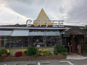 コットン