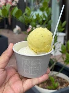 Eriko Osawa Earthly Gelato