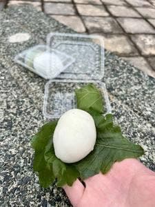 みなともち本店