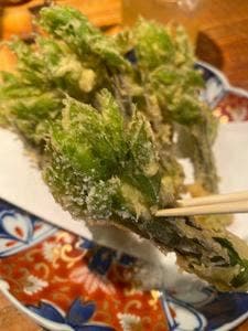 山形料理と地酒 まら