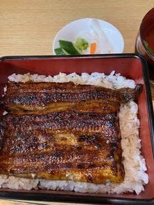 うな菊
