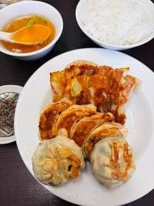 餃子専門店 藤井屋