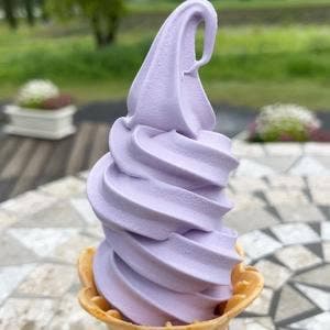 佐倉ラベンダーランド 売店