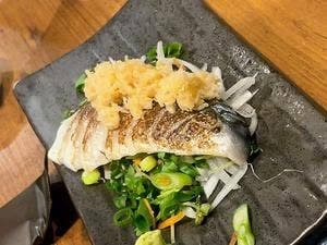 MONPAL8