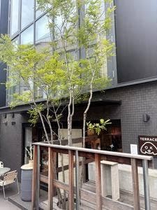 B Cafe & Lab