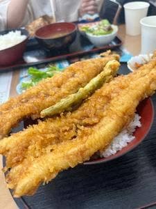 かもめ食堂