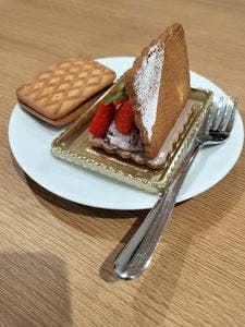 SHIRUKOTTE