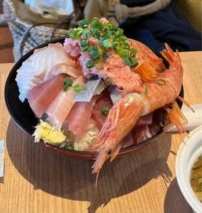 海の食べ放題 松島おさしみ水族館