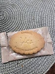 ノーレーズンサンドイッチ グランスタ東京店