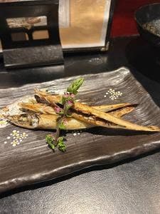 北新地 とき