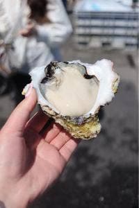 ヤマサ水産 お魚センター店