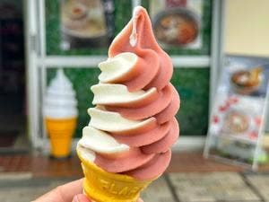 谷田部東パーキングエリア 下り線 売店