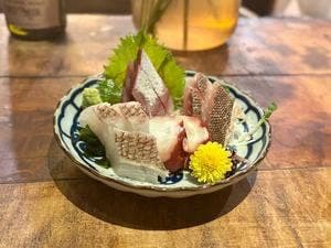 個室日本酒サカバ 晴れ