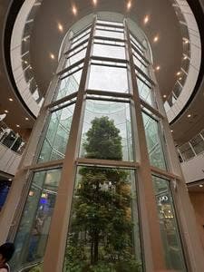 口福堂 ららぽーと立川立飛店