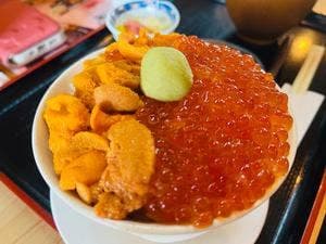 雲丹 まるひら