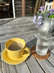 Cafe In The Woods