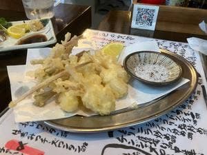 藍色の寅卯