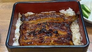 うな菊