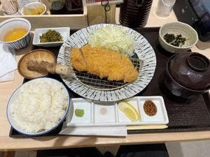 とんかつ知青