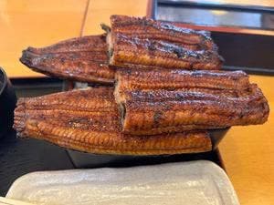 うな政 藤枝店
