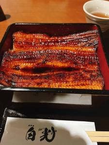北新地 白光