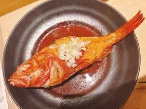 寿司とおでん コエド