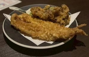 個室居酒屋 海鮮・地鶏・炭火焼鳥・日本酒・創作和食 彩維 ～sai～ 関内店