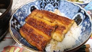 鰻専門店 翏