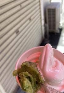 本当は、仙台からでたかった 俺ずんだ