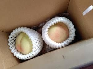西の屋美作店