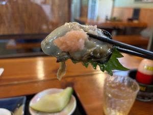たかね