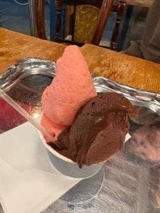 GELATTELIA&CAFFE RICARICA